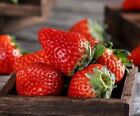 100+Red Strawberry Seeds Big Flesh Fruit Perennial Container Garden USA