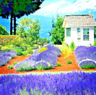 1200+ ENGLISH LAVENDER SEEDS SPRING PERENNIAL HERB MOSQUITO INSECT REPELLENT USA